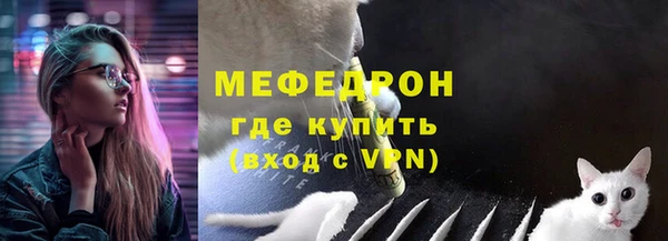 прущие грибы Заводоуковск