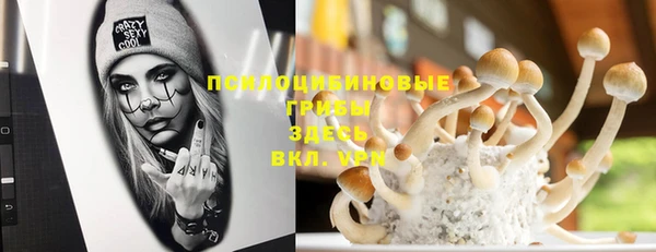 дживик Зерноград