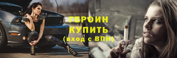 прущие грибы Заводоуковск