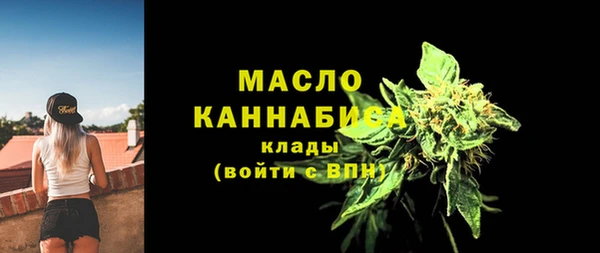 прущие грибы Заводоуковск