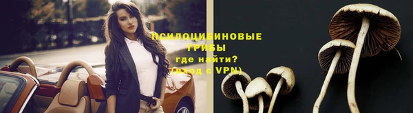 ALPHA-PVP Елабуга