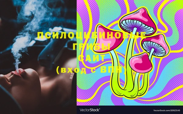 дживик Зерноград