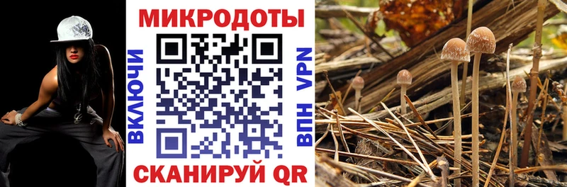 Псилоцибиновые грибы мухоморы  Купить где  Волосово 